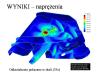 Wyniki naprężenia 4